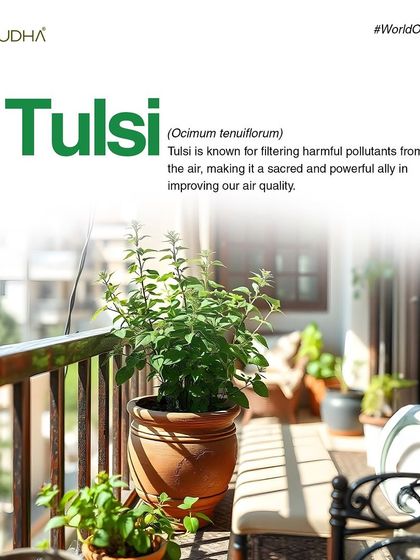 Paudha - Commercial Biophilic & Interior Design Our Design Philosophy & Tips photo 19