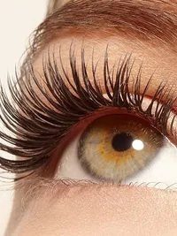 Lash & Brow Services