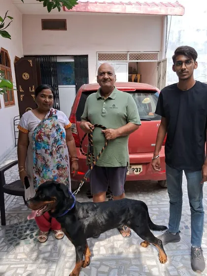 The best part of the job: a successful reunion. This Rottweiler is now happily settled with his family in Banaras after our train journey.