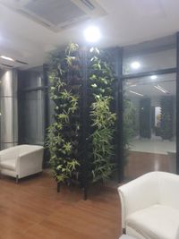 Vertical Garden & Green Wall Services