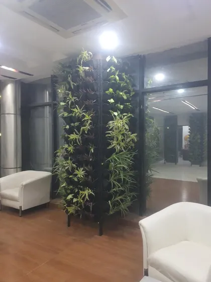 An indoor vertical garden installed at Era Infra Eng. Ltd, designed as a freestanding green partition to divide a waiting area while improving the office environment.