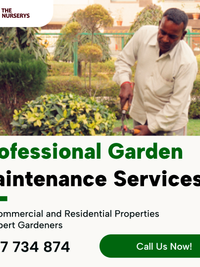 Garden Maintenance