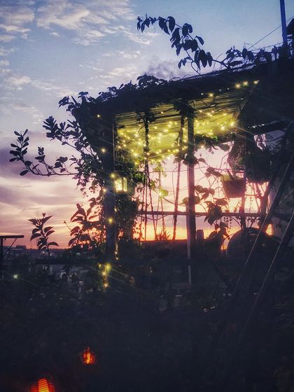 The silhouette of the garden against a colorful sunset sky. The fairy lights begin to turn on, bridging the transition from day to night.