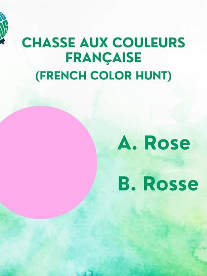 How do you spell the color pink in French? Is it 'Rose' or 'Rosse'? Test your spelling skills.