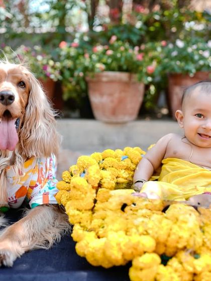 A beautiful shot of Posto and Pablo during the 'Gaye Holud,' with the baby in a tub of marigold flowers.