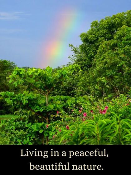 Rainbows are a frequent and beautiful sight at the ashram, especially during the monsoon season. They serve as a wonderful reminder of balance, harmony, and the beauty of the natural world.
