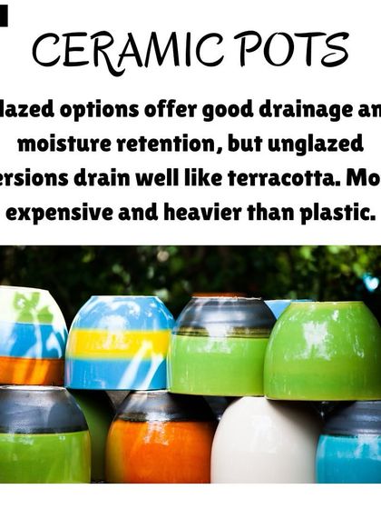 Hygrinz - Plant Sales & Gardening Supplies Gardening Supplies: The Right Foundation photo 4