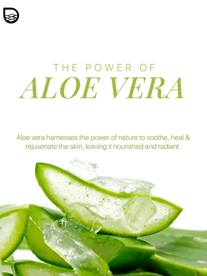 Skincare Fundamentals: Tips, Truths & Routines photo 47