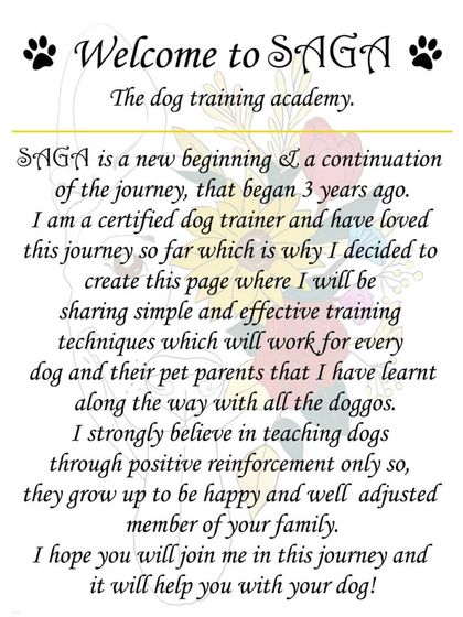 Gourav Vartalur - Fun Agility Training Meet the Pack & My Story photo 3