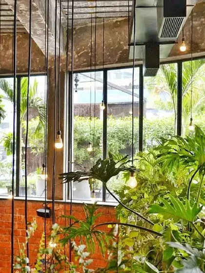 Is your indoor garden cluttered and in need of organization? These simple and effective steps will help you organize your plants and pots for a tidier look.