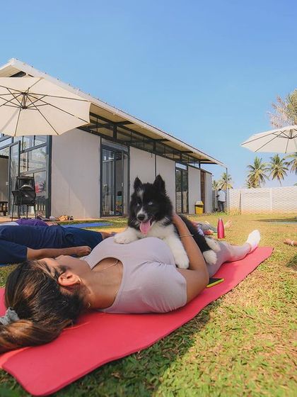 The Pawsome Camp - Dog Party & Event Hosting Special Events & Workshops photo 14