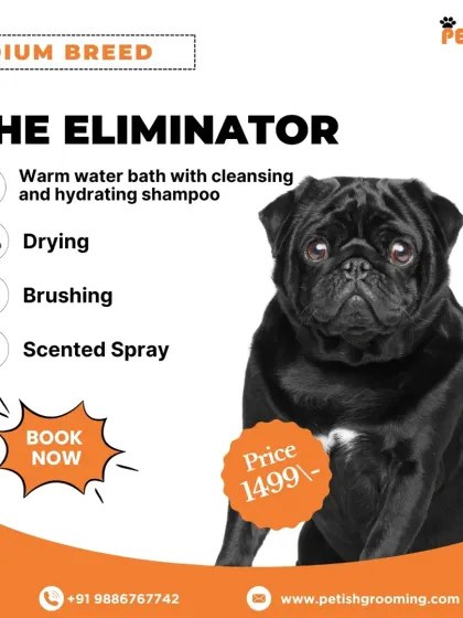 Petish Grooming - Mobile Grooming for Dogs & Cats Our Grooming Packages photo 18