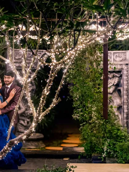 This wide shot captures the magical atmosphere of our garden at night, with illuminated trees and pathways creating a fairytale-like setting.