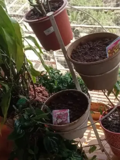 A creative multi-tiered planter stand being set up on a balcony. We can help with the setup and planting for such arrangements.