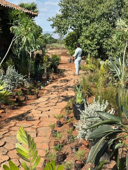 A stone pathway is laid out through the newly planted garden. The irregular shapes of the stones create a rustic, natural feel that complements the architecture of the farmhouse.