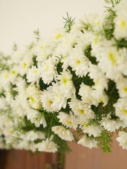 A close-up of white chrysanthemums used in the floral arrangements. Their fresh, clean look provides a beautiful contrast to the vibrant marigolds in traditional decor.