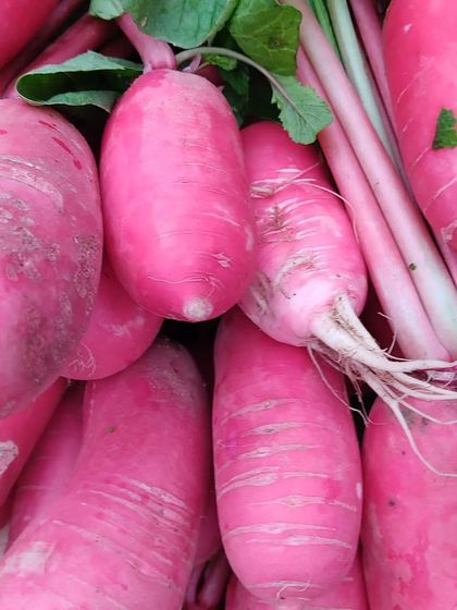A pile of beautiful pink radishes, a unique and colourful root vegetable.