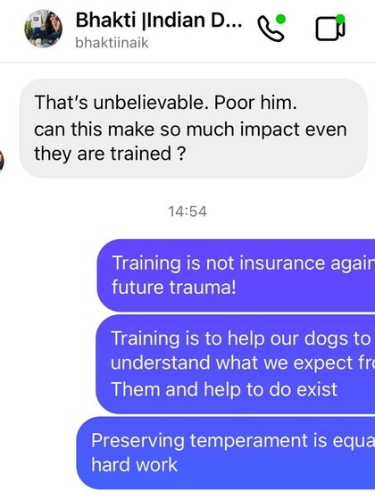 Confident Dogs - Pre-Adoption Counseling The Science of a Confident Dog photo 6