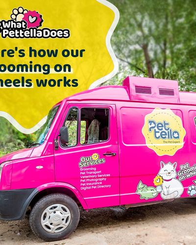 Mobile Pet Grooming