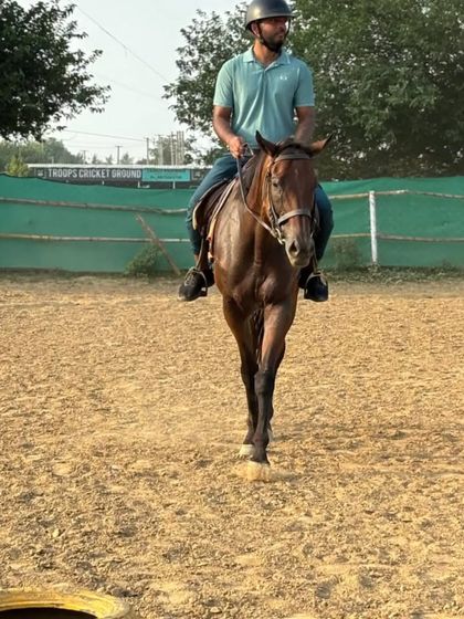 A rider practices in the arena, demonstrating the basics of steering and control.