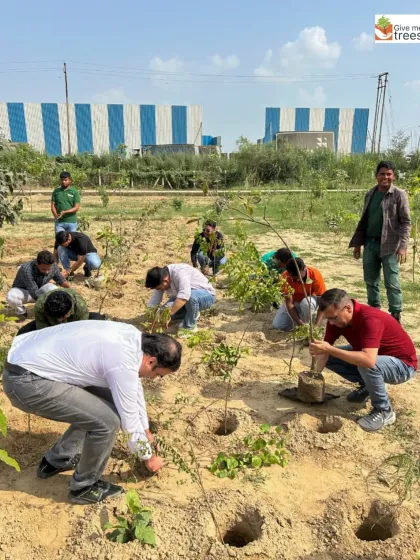 A wide shot of the EXL team at work. It shows the scale of our volunteer drives and the collective effort involved in planting a new forest.