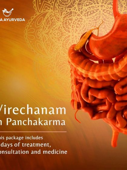 A visual representation of Virechana's focus on the gastrointestinal tract. This therapy is a cornerstone of Panchakarma for deep internal purification and digestive health.