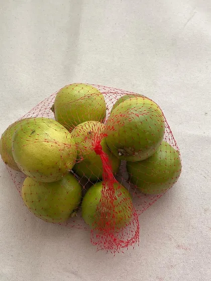 A net of fresh limes. These act as a natural pH shifter, which I use to modify and change the colors of my herbal dyes, creating a wider palette from a single source.