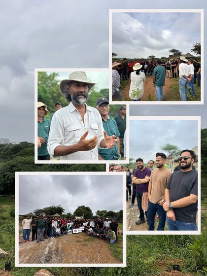A collage showing our rewilding expert briefing the OSTTRA team, who later pose together after a successful day of planting 500 native saplings.