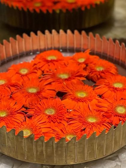 A classic urli decoration filled with floating bright orange gerbera daisies. The fluted metal bowl adds a touch of modern texture to this traditional and vibrant floral display, perfect for festive occasions.