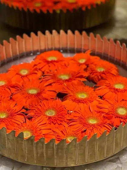 A classic urli decoration filled with floating bright orange gerbera daisies. The fluted metal bowl adds a touch of modern texture to this traditional and vibrant floral display, perfect for festive occasions.