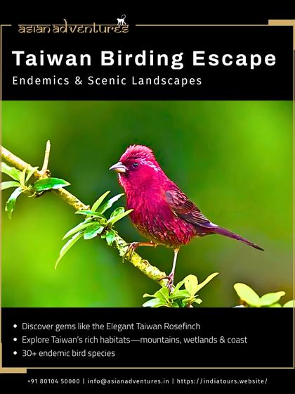 Global Wildlife Adventures photo 17