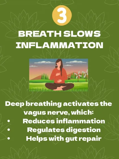 Deep breathing, a core part of yoga, activates the vagus nerve, which helps reduce inflammation and regulate digestion. It's a simple tool for deep healing.