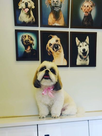Posing pretty inside the van! The interior is always sanitized between appointments, ensuring a safe and hygienic space for every single client.