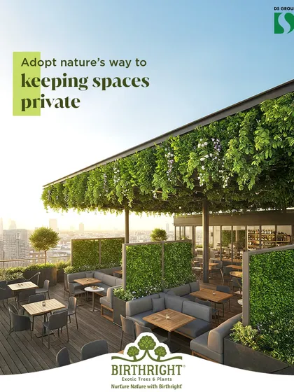 For this rooftop restaurant, we used lush greenery to create natural, living screens. This approach provides privacy and intimacy for diners without sacrificing the open air atmosphere, blending functional design with a vibrant, natural aesthetic.