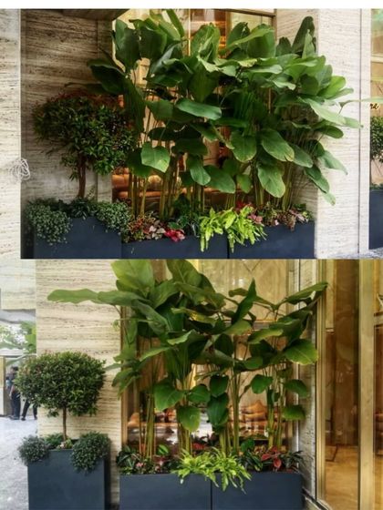 Outdoor & Rooftop Transformations photo 3