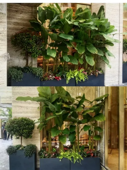 A gorgeous green setup at one of our recent sites. This layered arrangement in large modern planters creates a lush, private screen and a beautiful exterior view.