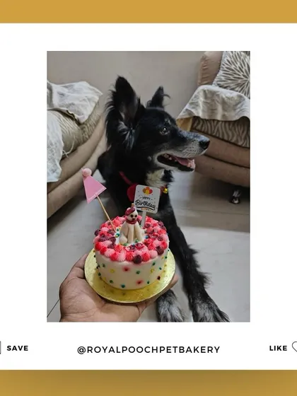 Here is Coco with his personalized birthday cake, featuring a mini version of him on top. These little details make the celebration so much more special.
