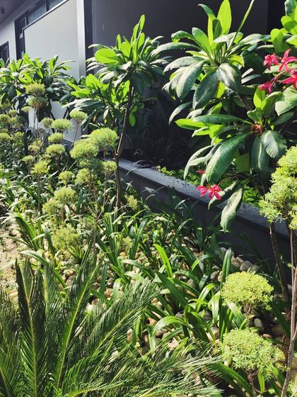 Delhi Gardner - Full-Service Landscaping Large-Scale Landscaping: Commercial & Residential Projects photo 3