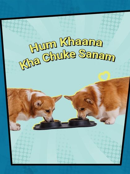 The realest love story this Valentine's Day: Hum Khaana Kha Chuke Sanam. Because for our pets, food is the first and last love.