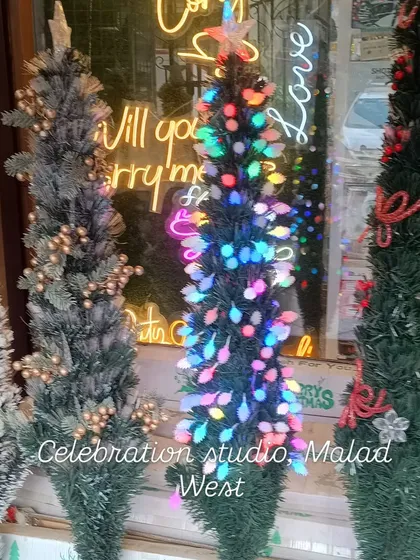 Get into the holiday spirit with my diverse collection of Christmas trees. This image showcases a few options, from a snow-flocked tree to pre-lit and decorated ones, perfect for creating a festive atmosphere in your home or office.