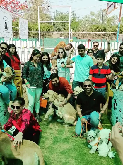 It was an absolute blast hosting the team from EY for a corporate pet day. I create these events to give employees a chance to relax with their furry family members, complete with games and fun in a safe, open-air environment. This group picture captures the amazing community vibe of the day.