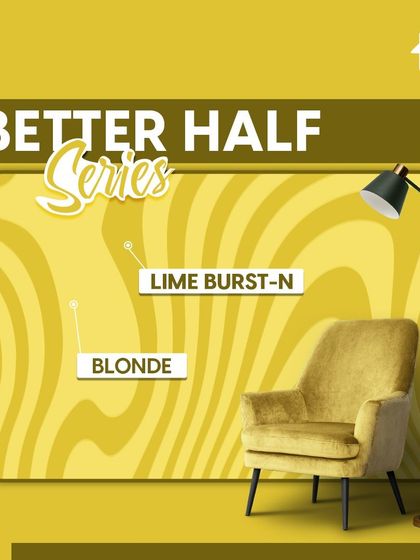 Paint My Walls - Painting Services Free Color Consultation & Inspiration photo 98