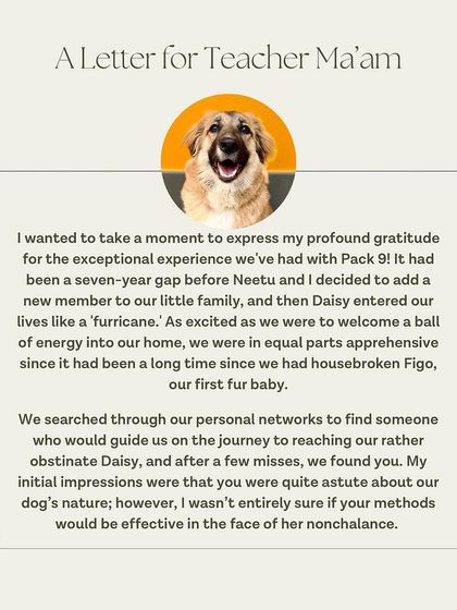 The beginning of a heartfelt letter from Daisy's family, sharing their journey and initial apprehension.