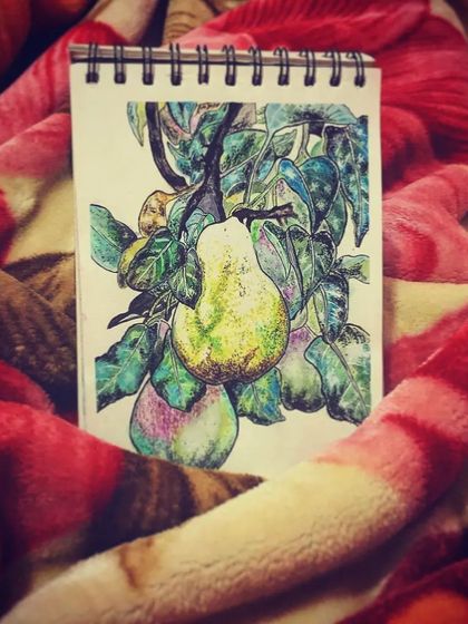 Different views of the finished pear watercolour sketch, showing the details and colours from various angles.