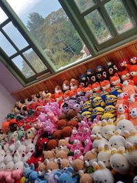 Bulk & Wholesale Orders