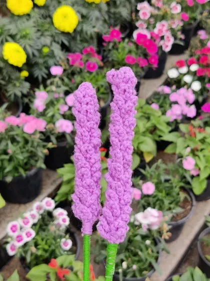Two lavender stems held up against a background of fresh flowers at a nursery.