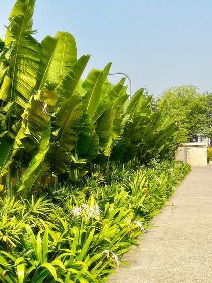 Luxury Villa & Farmhouse Estates photo 17