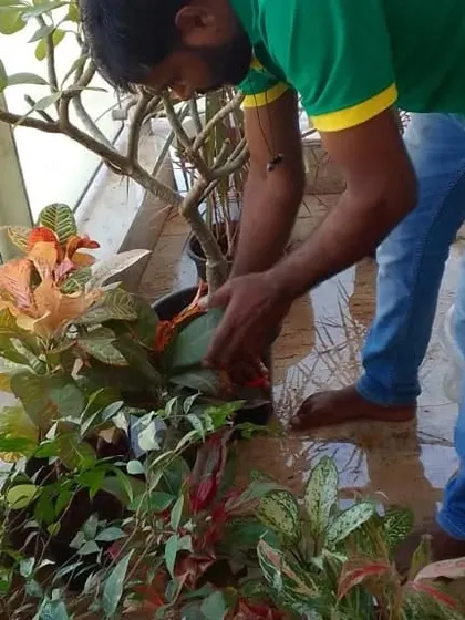 A close-up of our gardener tending to a collection of potted plants on a balcony. This hands-on approach ensures every plant gets individual attention.