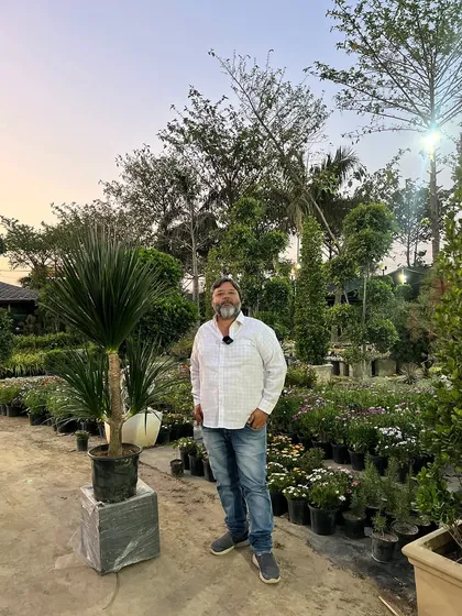 Humare nursery mein aapko har tarah ke indoor aur outdoor plants milenge. Yeh Dracaena Draco ka plant dekhiye, kitna swasth aur sundar hai.