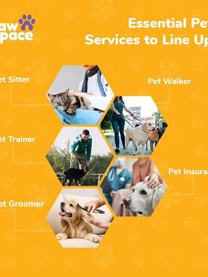 PawSpace - Dog Walking Essential Pet Care Tips photo 7